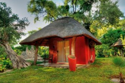 places to stay in Maun