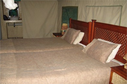 places to stay in  Maun Okavango Delta