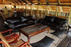 places to stay in  Maun Okavango Delta
