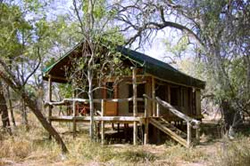 places to stay in Maun