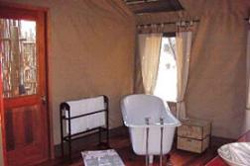 places to stay in  Maun