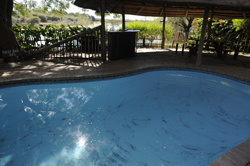 places to stay in Maun