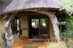 places to stay in Maun