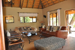 places to stay in Maun