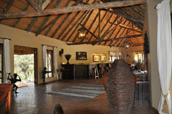 places to stay in Maun