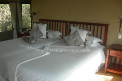 places to stay in Maun