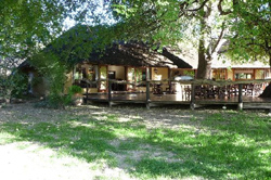 places to stay in Maun