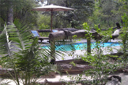 places to stay in Maun