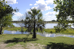 places to stay in Maun