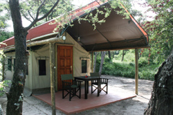 places to stay in Maun