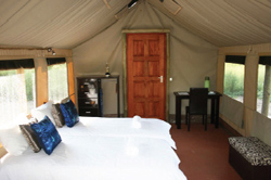 places to stay in Maun