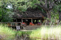 places to stay in  Moremi