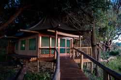 places to stay in  Okavango Delta