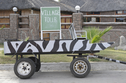 places to stay in  Nata
