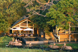 places to stay in  Okavango Delta