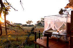 places to stay in  Okavango Delta