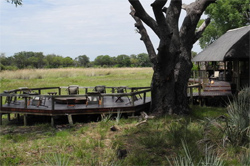 places to stay in  Okavango Delta