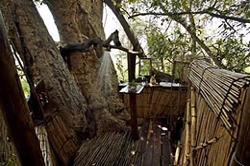 places to stay in  Okavango Delta