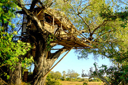 places to stay in Okavango Delta