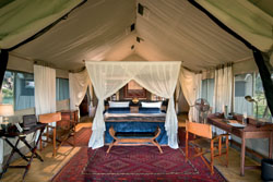 Duba Expedition Camp