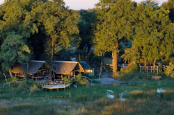 places to stay in Okavango Delta