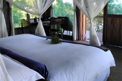 places to stay in Okavango Delta