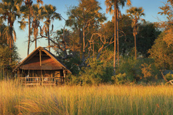 places to stay in  Okavango Delta