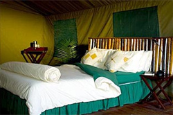 places to stay in Okavango Delta