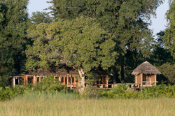 places to stay in  Okavango Delta