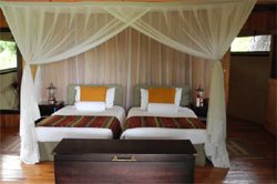 places to stay in Okavango Delta