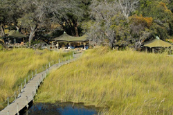 places to stay in  Okavango Delta