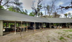 Machaba Camp, Okavango Delta