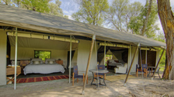 Machaba Camp, Okavango Delta