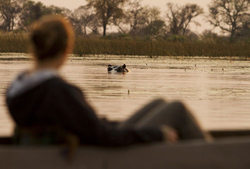 Mapula Lodge, Okavango Delta