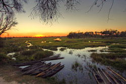 places to stay in Okavango Delta