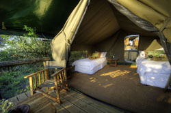 places to stay in Okavango Delta