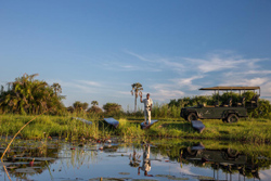 Pelo Camp, Okavango Delta