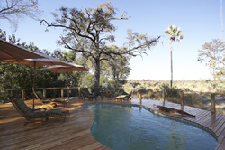 places to stay in Okavango Delta