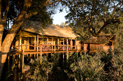 places to stay in  Okavango Delta