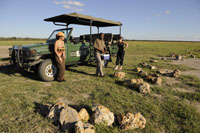 Enjoy a relaxing game drive at the Khama Rhino Sanctuary