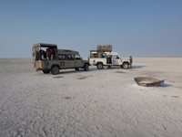 Safari Holiday to Botswana