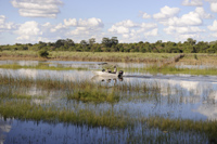 The Okavango Delta