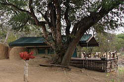 places to stay in  Tuli Block