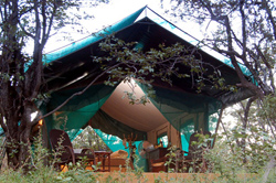 places to stay in  Tuli Block