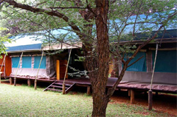 places to stay in  Tuli Block