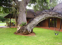 places to stay in Tuli Block