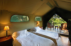 Tuli Wilderness Camp