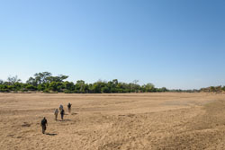 Tuli Wilderness Camp