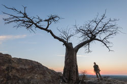 Tuli Wilderness Camp